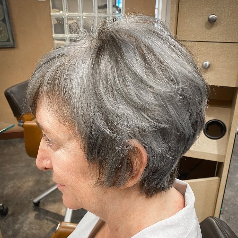 Over 60 Gray Pixie Bob