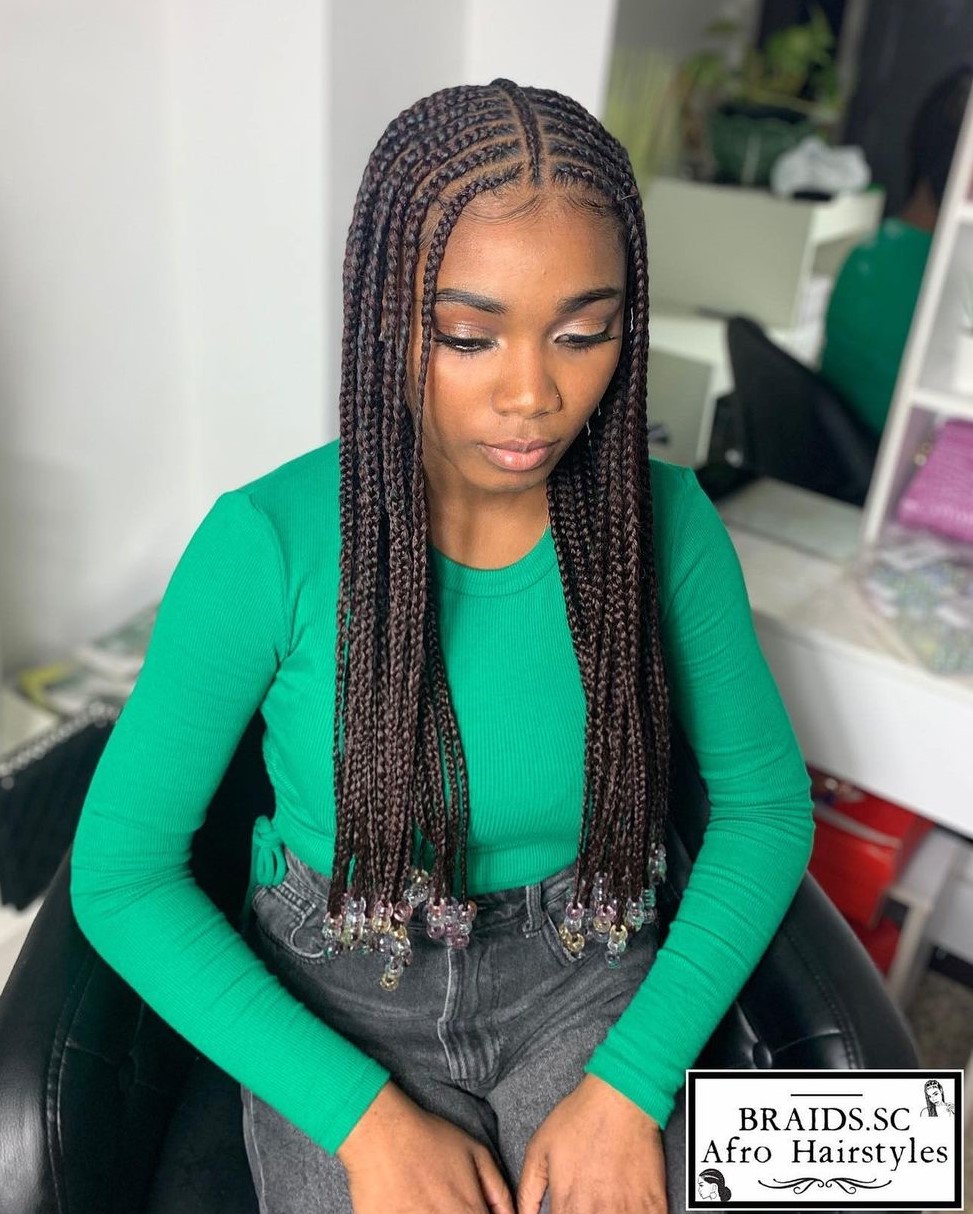 Fulani Braid Hairstyle with Thin Braid in the Middle