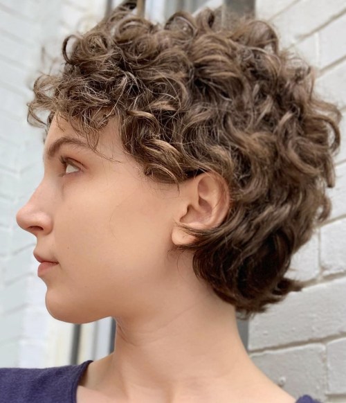 Curly Shaggy Pixie Cut