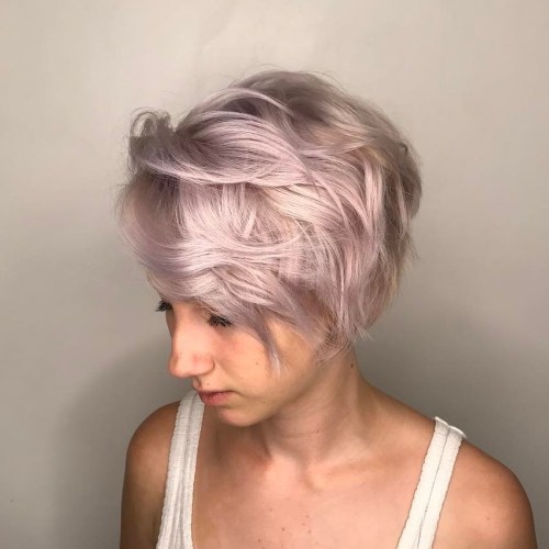 Pastel Pink Pixie Bob