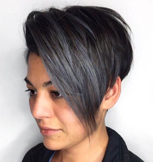 Black Pixie Bob With Blue Highlights