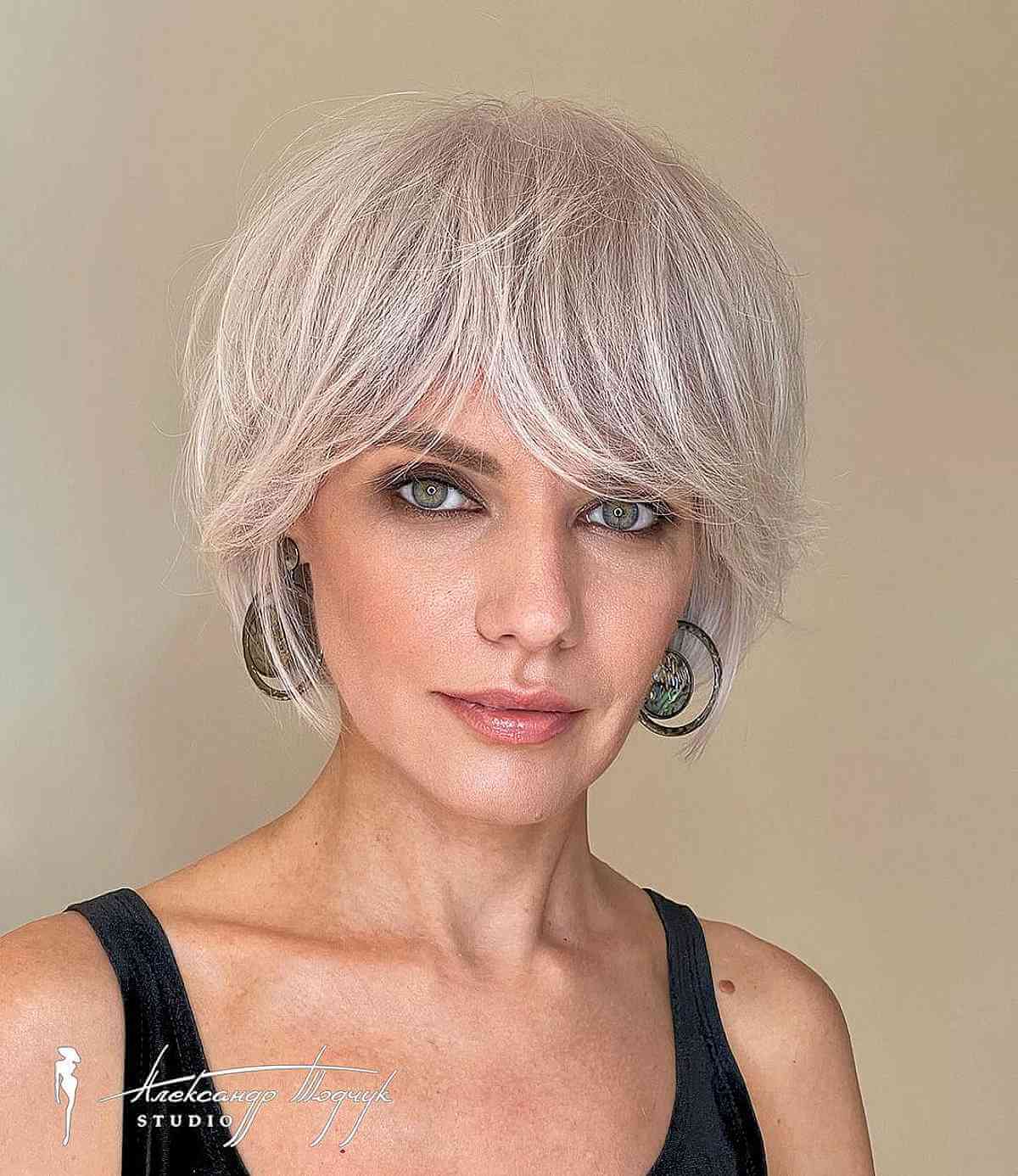 Platinum Grey Pixie Bob