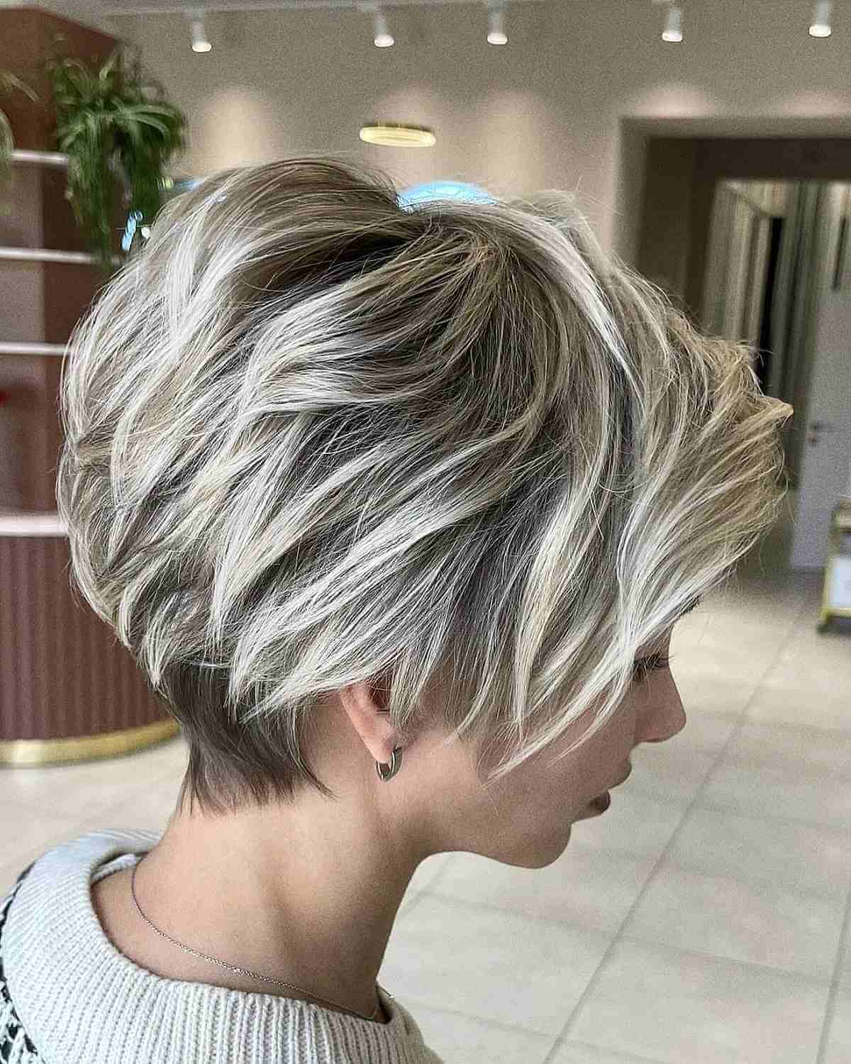 Platinum Pixie Bob with Dark Roots