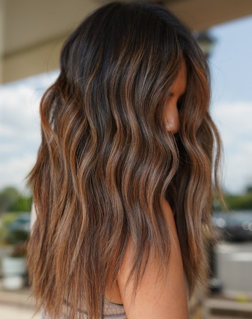 Tawny Balayage Highlights for Tan Skin