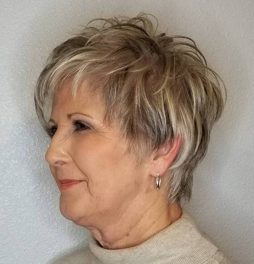 Feathered Gray Cut with Highlights and Lowlights