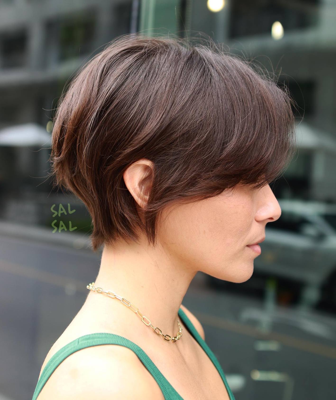 Chocolate Brown Pixie Bob Cut